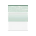 thumbnail image 6 of DocuGard Standard Security Check, 11 Features, 8.5 x 11, Green Marble Top, 500/Ream, 6 of 10