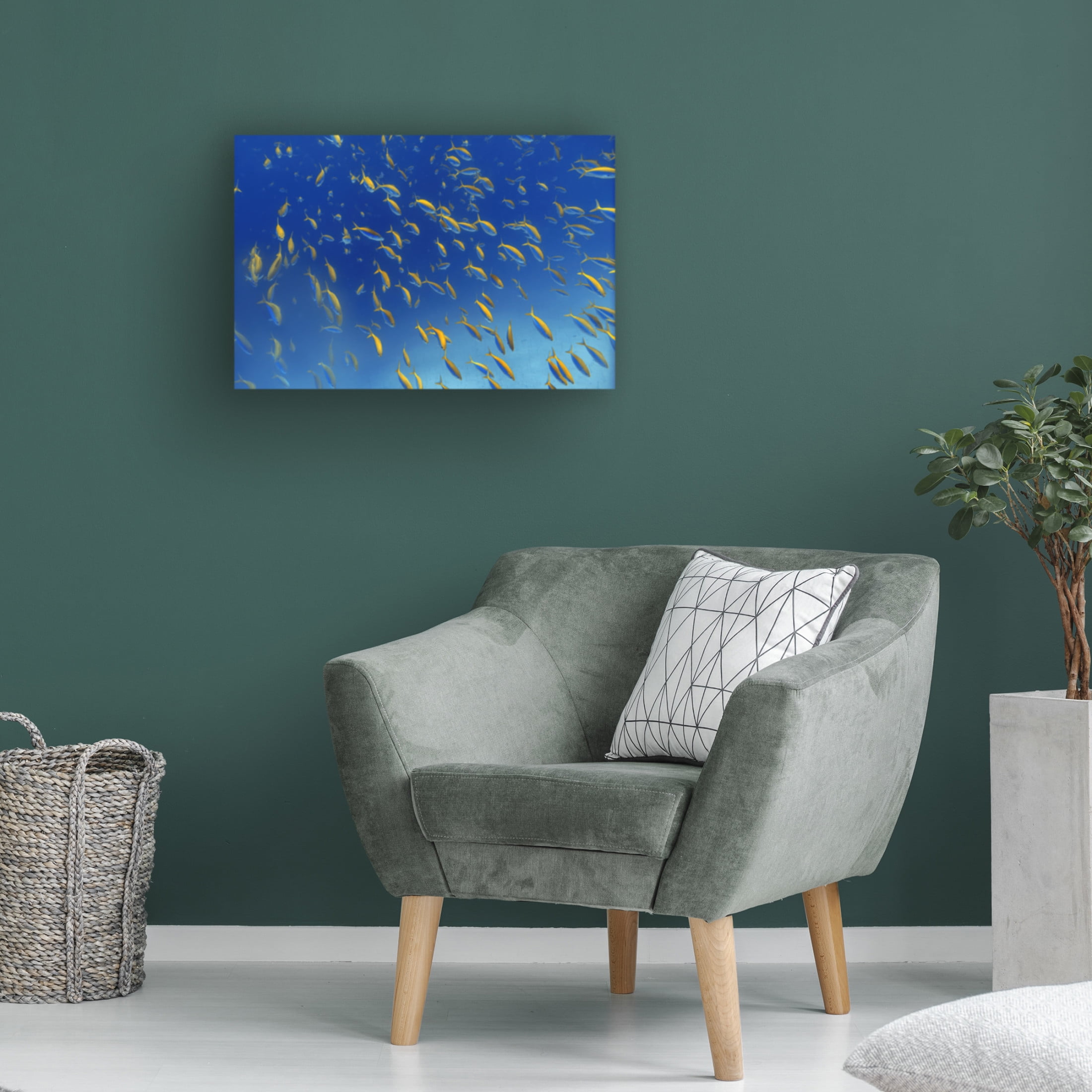 Trademark Fine Art Alessandro Catta  FiSh FrEnZy Canvas Wall Art
