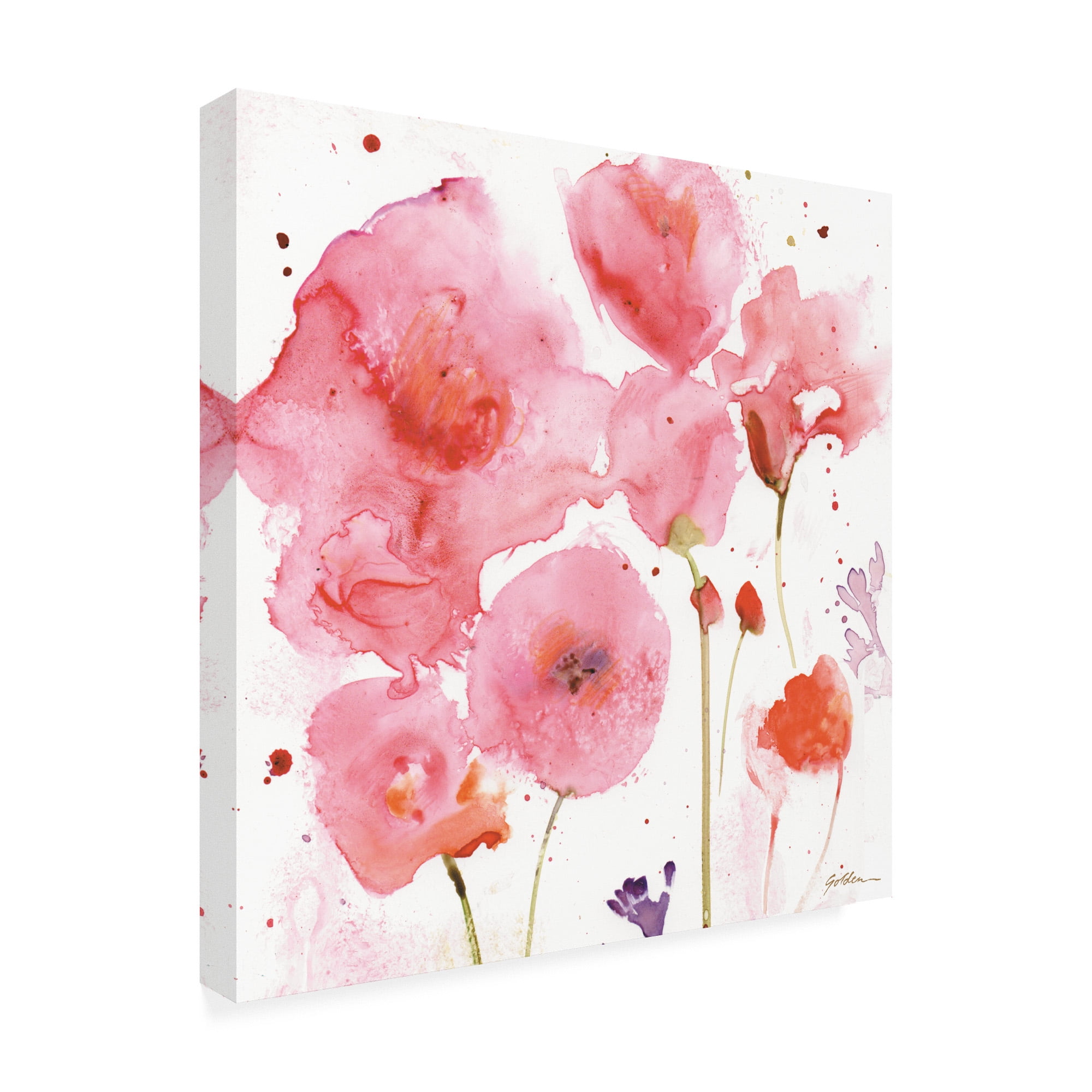 Trademark Fine Art 'Rose- Pink Parade' Canvas Art by Sheila Golden