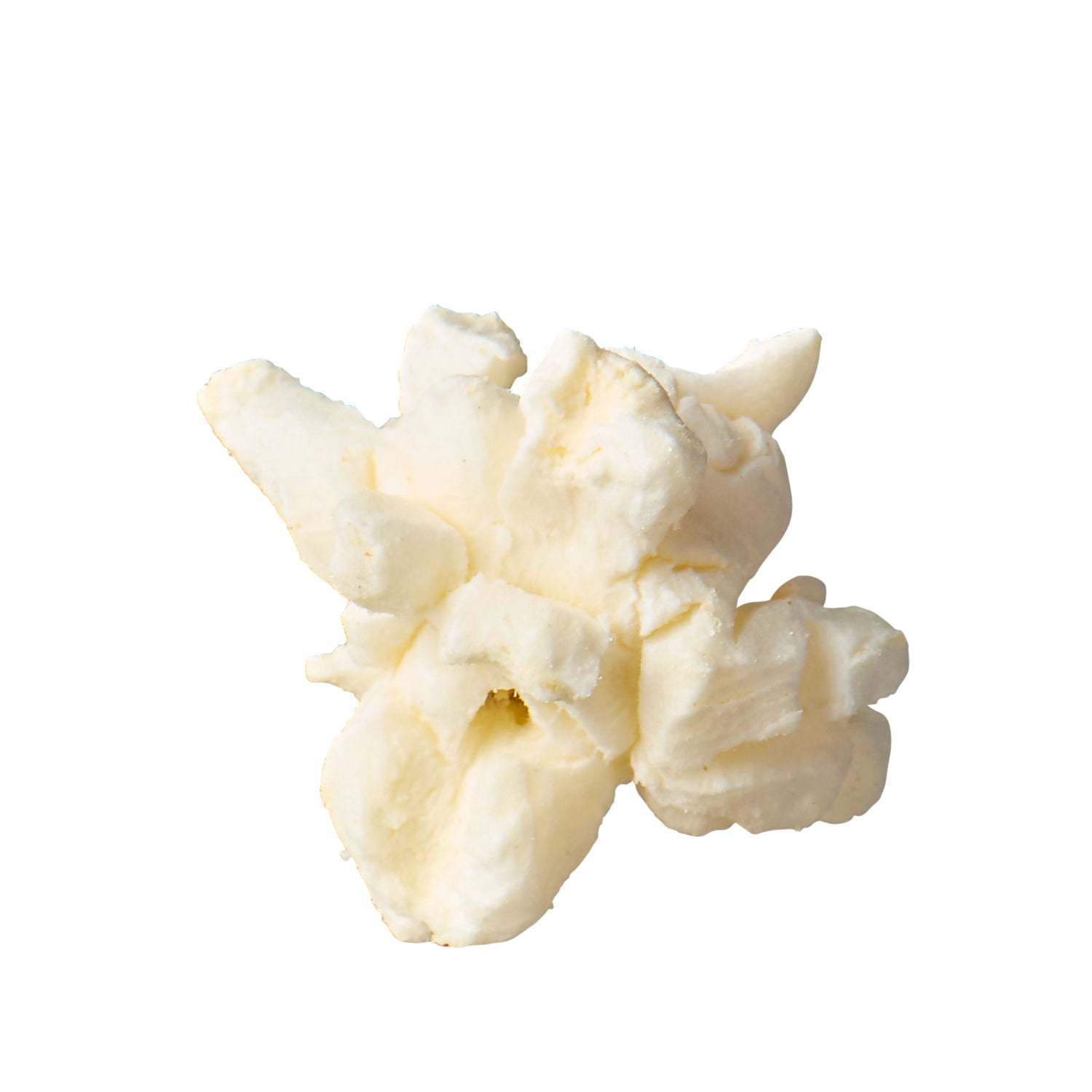 (6 pack) SKINNYPOP Roasted Garlic Butter Flavored, Gluten Free Popcorn Bag, 4.4 oz