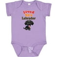 thumbnail image 3 of Inktastic Labrador Retriever Dog Black Lab Boys or Girls Baby Bodysuit, 3 of 5