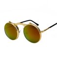 thumbnail image 1 of Jett 3057 Lunettes de Soleil Rétro en Métal steampunk à Clapet Lunettes de Soleil à Clapet pour Hommes et Femmes Monture Ronde à la Mode Lunettes Prince, 1 of 7