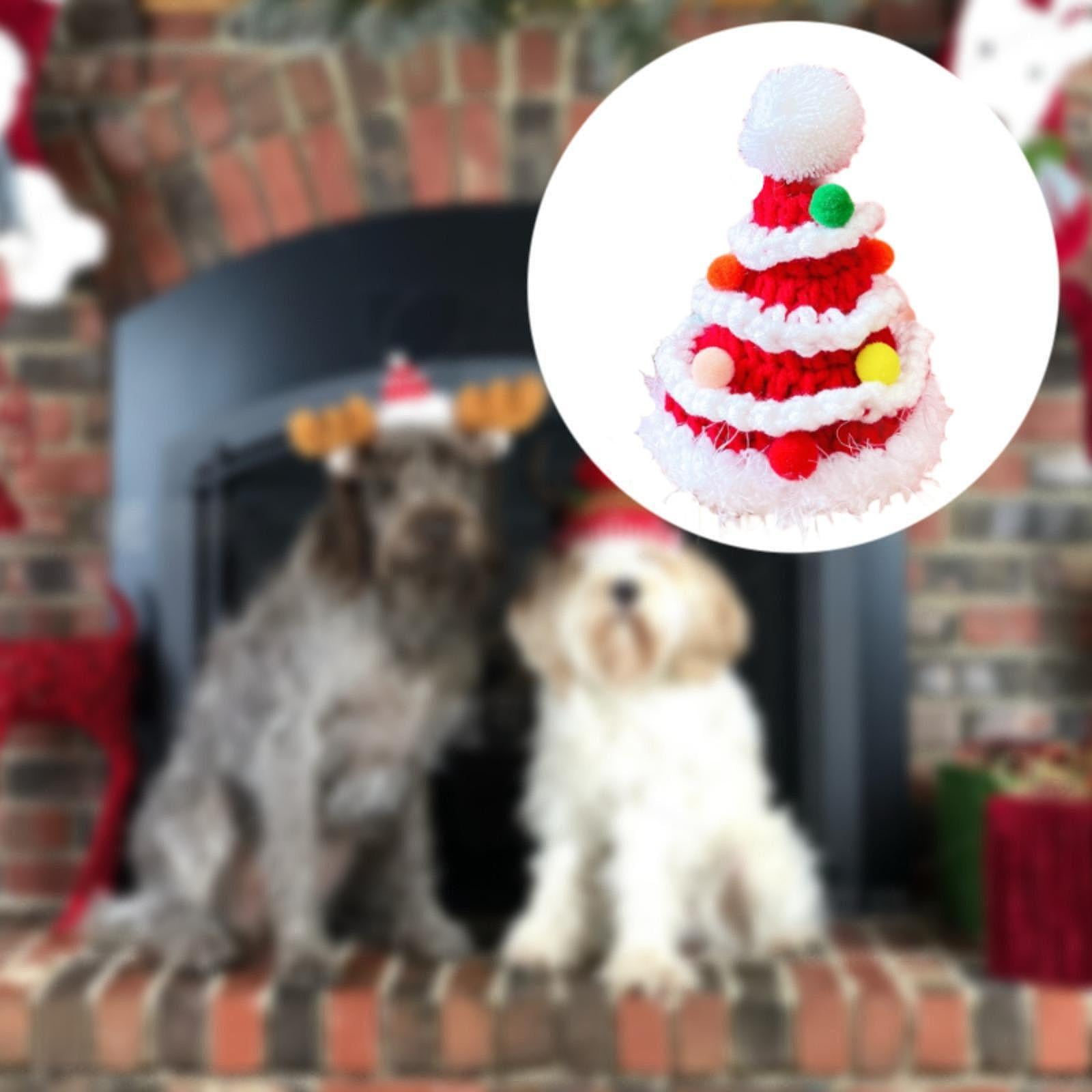 Costume De Noël Pour Chien – Chapeau Et Bandana Festifs Pour Petit Chien | Cadeau Mignon Pour Fêtes Et Photos - 8