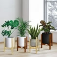 thumbnail image 2 of Casual Home Mid-Century Modern Wood Plant Display Stand, Fit Up to 12", 2 of 18