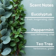 Scent Fill Eucalyptus Spearmint Plug in Air Freshener Starter Kit, Scented Oil Refills, 2 Refills + Diffuser