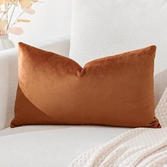 Eryueer Luxury Velvet Cushion Covers Super Soft Decorative Throw Pillow Covers Case Lumbar Cushion Cases for Sofa Couch Bedroom Car Decor 30x50cm Orange