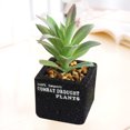 thumbnail image 3 of Coofit Artificial Succulent Mini Plastic Decorative Artificial Plant Fake Plant, 3 of 6