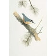 thumbnail image 2 of FISK, Arnie 14x18 Black Ornate Wood Framed with Double Matting Museum Art Print Titled - Bird in Grey, 2 of 4