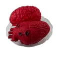 thumbnail image 4 of Órgano de Halloween hecho a mano con forma de corazón y cerebro, accesorio innovador y aterrador de alta simulación para fiesta de Halloween, 4 of 8