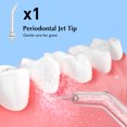 thumbnail image 2 of GAXIRE 1 juego de puntas de repuesto para hilo dental Coslus, puntas de chorro, cabezales de limpieza dental, accesorios para hilo dental., 2 of 6