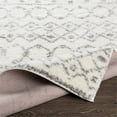 thumbnail image 4 of Surya Aliyah Shag ALH-2302 24 x 36" Rectangle Fabric Rug in Cream/Gray, 4 of 6