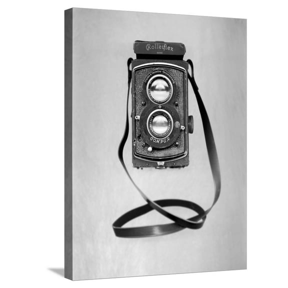 Art.com Retro Point & Shoot #4 Stretched Canvas Print Wall Art by Alan Blaustein, 18" x 24"