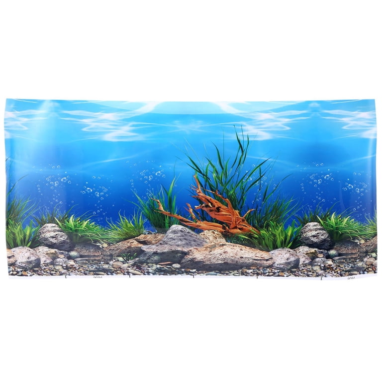 Aquarium Background Paper