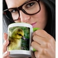 thumbnail image 2 of 3drose, Gosling Chick 1 - Yellow - Bird Photography, 15oz Two-tone Green Mug, 2 of 6