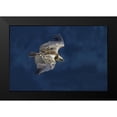 thumbnail image 2 of Redaelli, Marco 24x17 Black Modern Framed Museum Art Print Titled - Vulture In Blu, 2 of 5