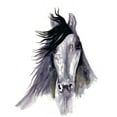 thumbnail image 2 of Charest, Doris 15x18 White Modern Wood Framed Museum Art Print Titled - Black Star, 2 of 4