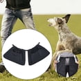 thumbnail image 6 of perfeclan Dogs Training Pouch Training Dog Puppy Waist Bag Rainproof Pet Puppy Bag Pockets Snacks Storage Carrier Holder for Travels Daily M, 6 of 9