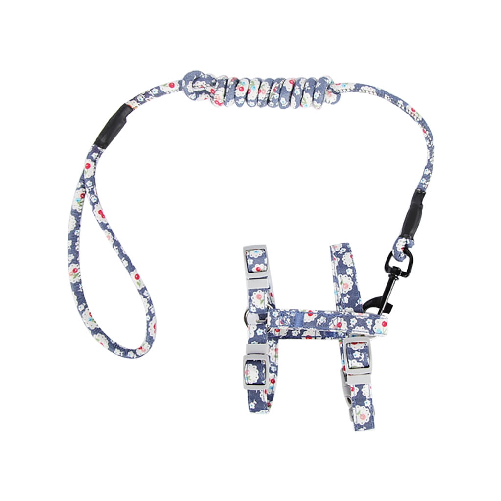 Cat Recovery Collar Small Dog Post Surgery Soft Edge Collar for Dogs