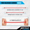 thumbnail image 2 of Minicuerdas elásticas XSTRAP STANDARD, paquete de 20, 25 cm, coloridas, 2 of 7
