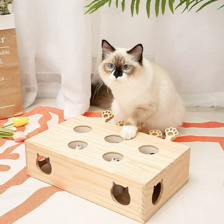 kathson Cat Enrichment Toys for Indoor Cats, Solid Wood Kitten Whack A Mole  Interactive Box Catch Mice Game Cat Puzzle Toy for All Ages Cats Kittens  Exercise Puzzle Relieve Boredom - Yahoo