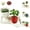 #3, variant on Funny Plant Pots, Lazy Guy Planter with Drainage Hole, Resin Face Planter Pot for Succulents and Cactus, Funny Flower Pot for Indoor Outdoor Home Office Garden Decor Gift (#1)