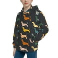 thumbnail image 2 of Haiem Plaid Dachshund Pattern Boys Hoodie, Youth Pullover Hooded Sweatshirt, Kangaroo Pocket Hoodie for Kids Girls -Small, 2 of 6
