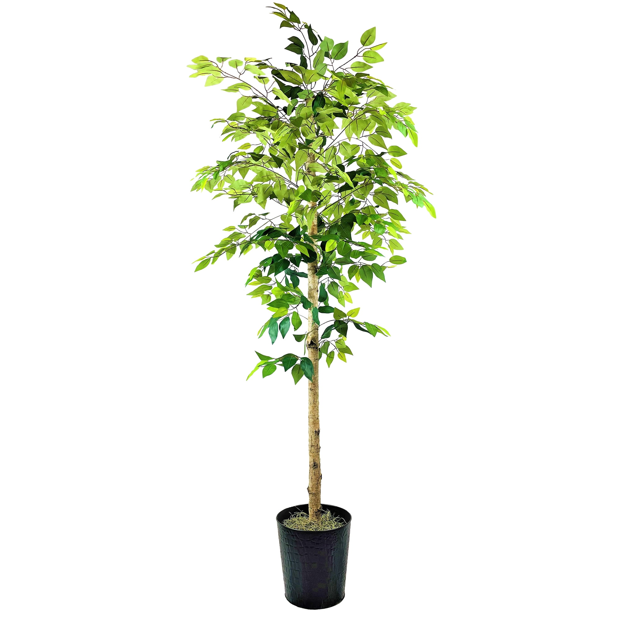 Artificial Tree, 6ft Artificial Designer Ficus Tree in a Black Embossed Metal Planter by LCG Florals, Faux Designer Fake Indoor Tree for Living Room, Office, and Home Décor