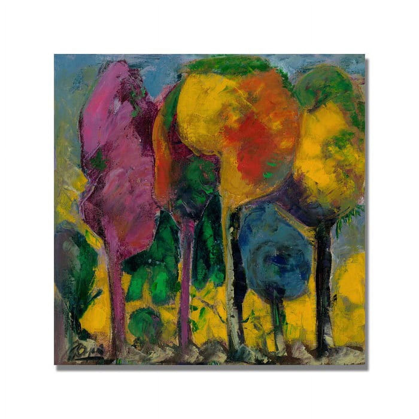 Trademark Fine Art "Puesta de sol" Canvas Art by Boyer