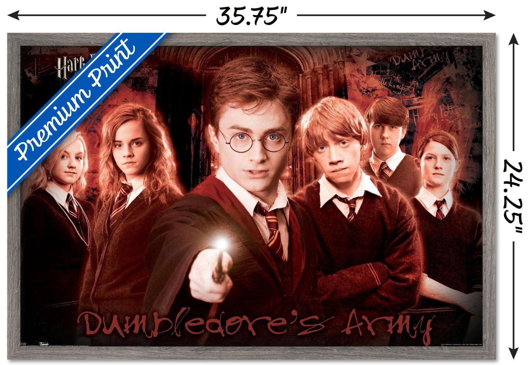 Harry Potter and the Order of the Phoenix - Group Wall Poster, 22.375" x 34", Framed
