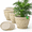 Beige-16 inch, variant on Beige 16 Inch 4 Pack Plastic Plant Pots with Drainage Holes and Trays