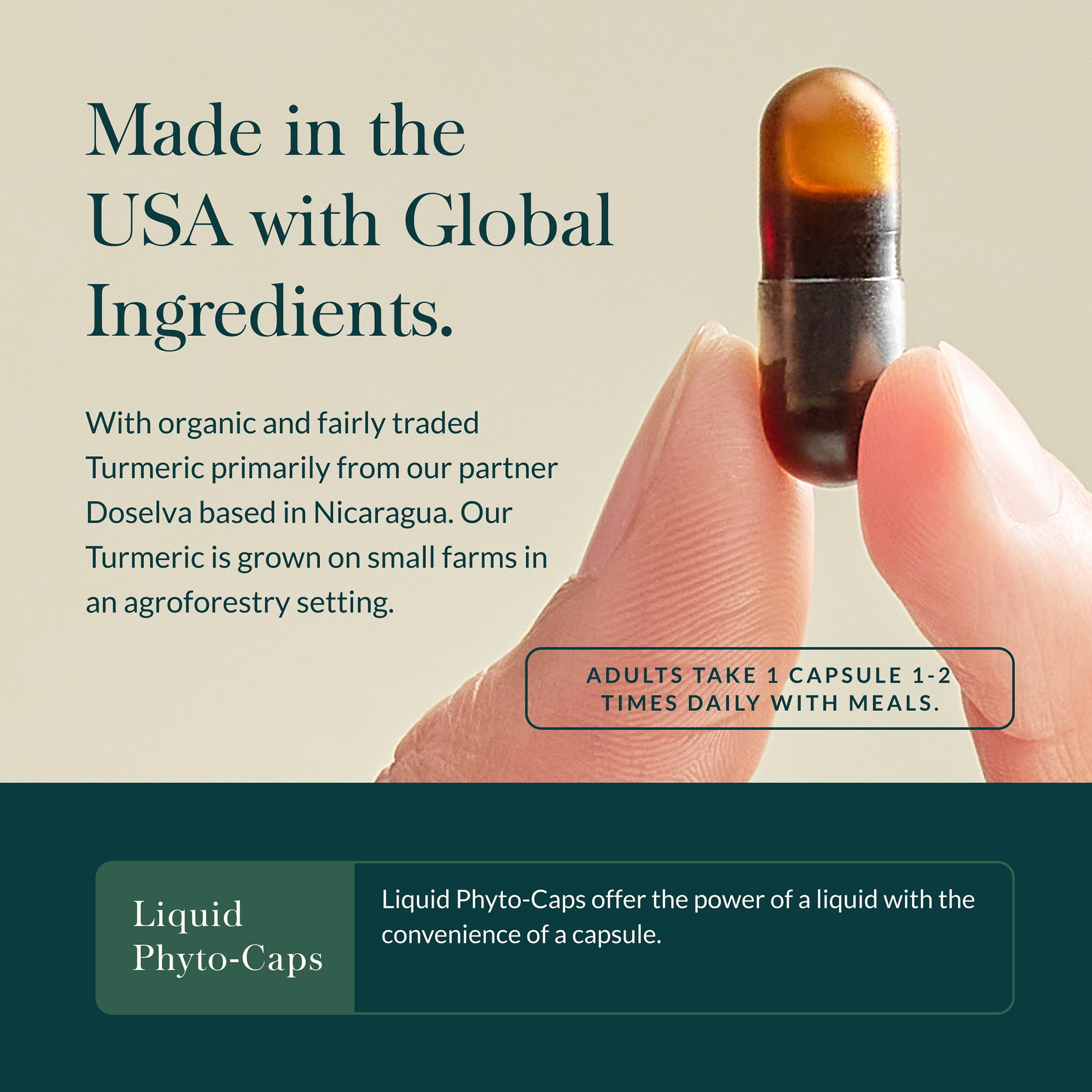 Gaia Herbs Turmeric Supreme Extra Strength - Supports Occasional Discomfort from Normal Wear & Tear* - with Turmeric Curcumin & Black Pepper - 180 Vegan Liquid Phyto-Caps (Up to 180 Servings)