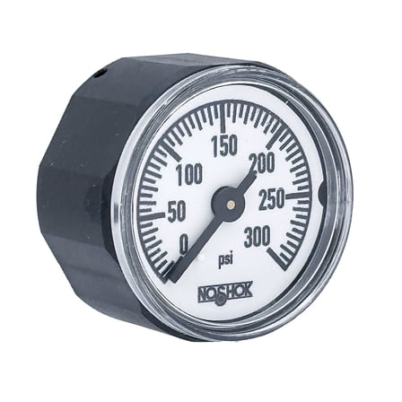 Pressure Gauge, 1" ABS Case & Socket, Copper Alloy Bourdon Tube, 300 psi, 1/8 NPT Back Conn