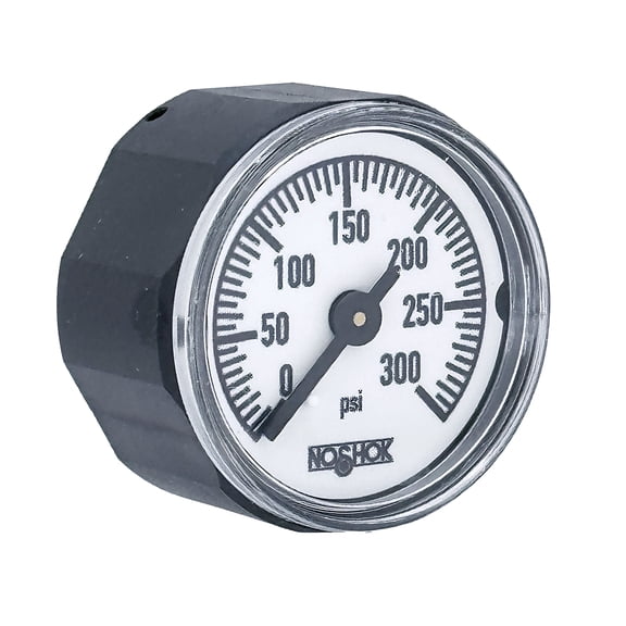 Pressure Gauge, 1" ABS Case & Socket, Copper Alloy Bourdon Tube, 300 psi, 1/8 NPT Back Conn