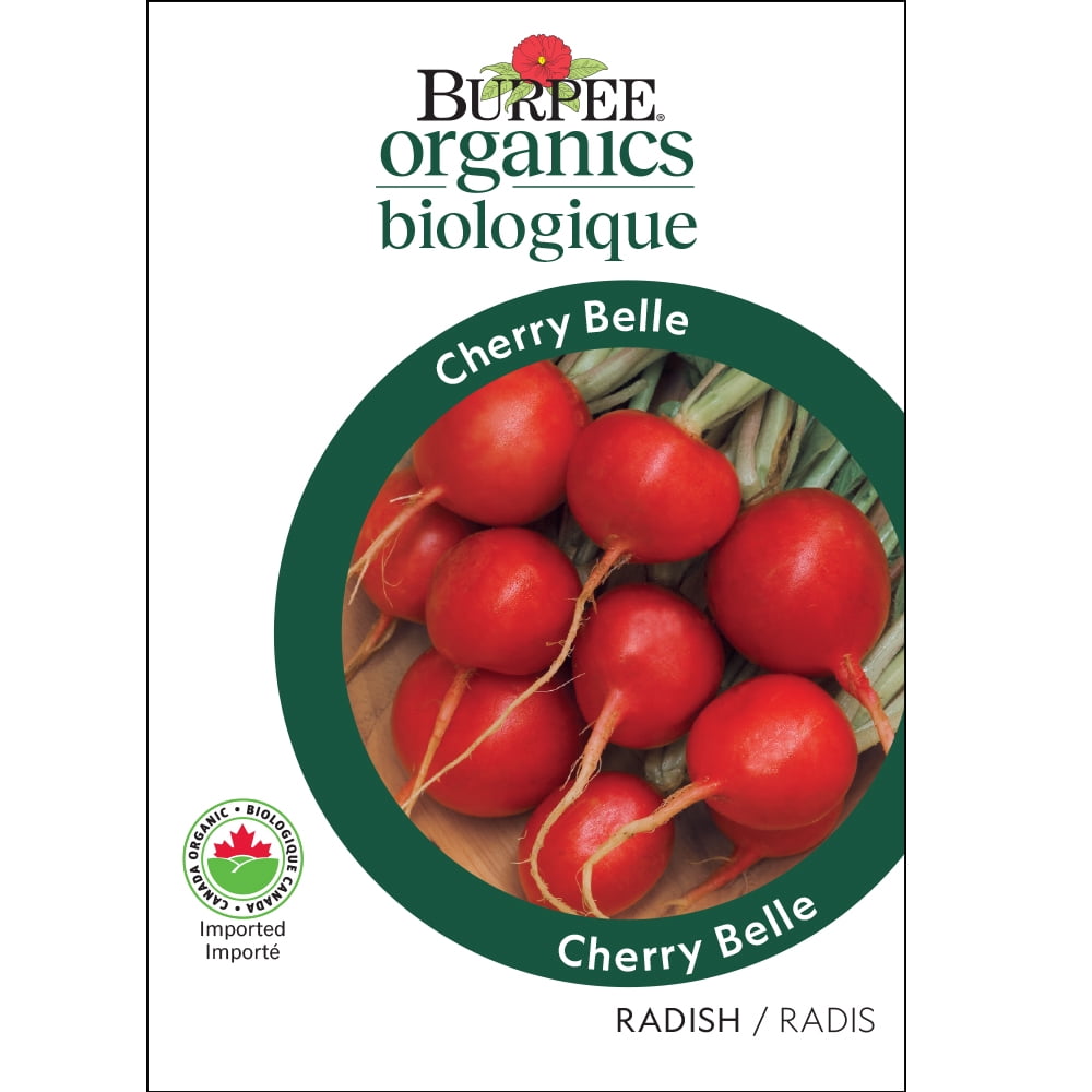 Burpee Organic Cherry Belle Radish, Plant Seeds for Home Garden