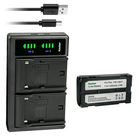 Kastar 1-Pack Battery and LTD2 USB Charger Replacement for Panasonic PV-DV Series PV-DV700 PV-DV700D PV-DV710 PV-DV710D PV-DV950 PV-DV1000