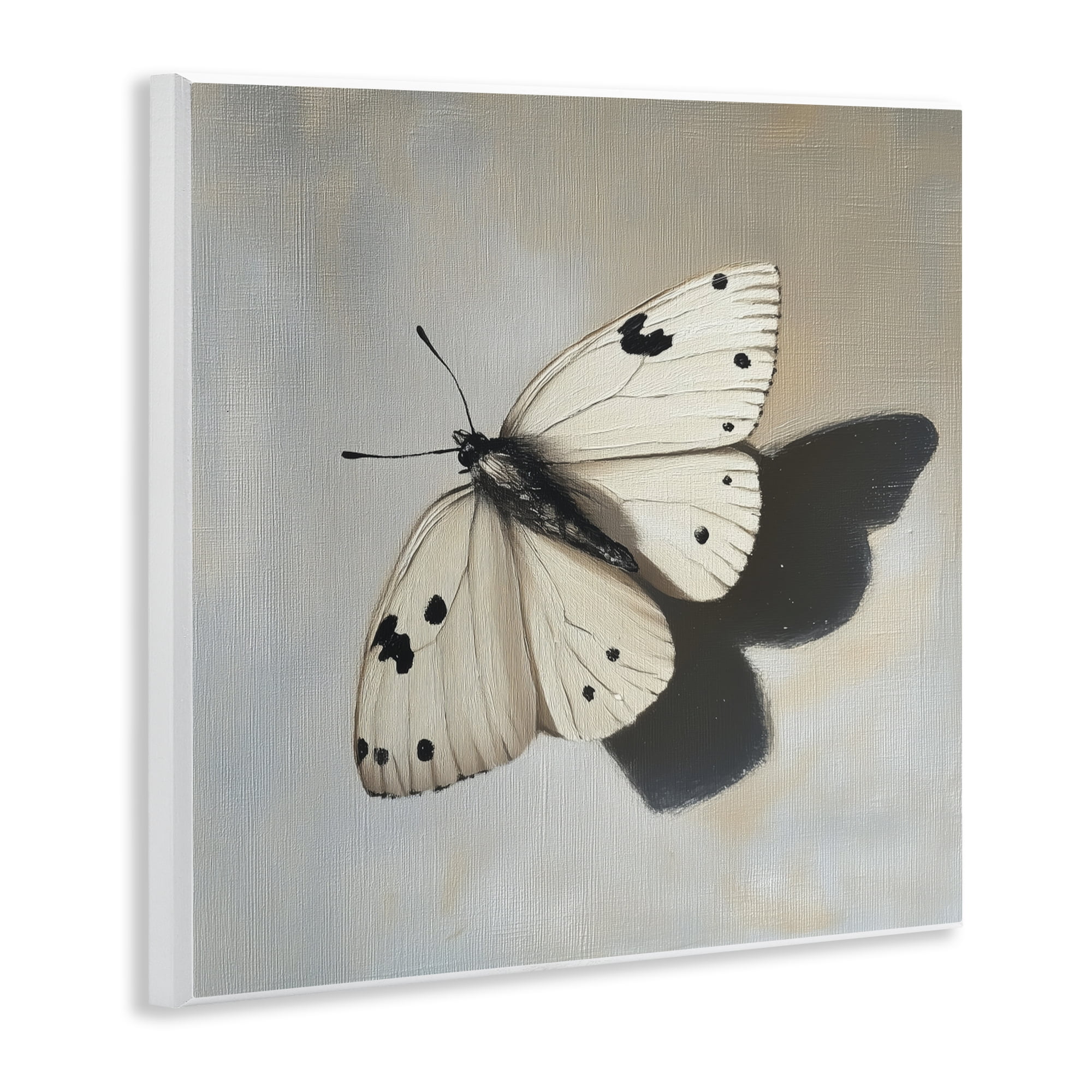 Stupell Industries Velvet's Butterfly Wings Wall Plaque Art, design by Svetlana Aleynikova