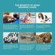 thumbnail image 5 of Botas protectoras para perros, zapatos térmicos de tubo largo para perros, protector de patas de perro de cuero de microfibra transpirable con suela de goma(1#) JM, 5 of 5
