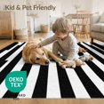 thumbnail image 4 of ODIKA 4'x6' Washable Area Rug Stain Resistant, Low Pile, Easy Care Black White Corridor Alfombras Para Striped Design with Bold Monochrome Symmetry for Dorm Room, Small Living, 4 of 7