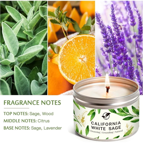 JUNCHI-Sage Candles for Cleansing, Pure White Sage Candle 6 OZ- 35 Hour Burn Time, Aromatherapy Candle for Cleansing House Negative Energy Smudge Kit, Spiritual Meditation Housewarming Gifts