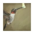 thumbnail image 4 of Ruby-Throated Hummingbird - Canvas, 4 of 25