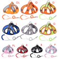 thumbnail image 3 of Dog/cat Harness, No-Pull Pet Harness with Leash Clips, Adjustable Soft Puppy Harness, Reflective No-Choke Pet Vest for Walking with Small and Medium Dogs, 3 of 3