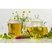 Earthcare Seeds - Chamomile German 5000 Seeds (Matricaria Chamomilla) Heirloom - Open Pollinated