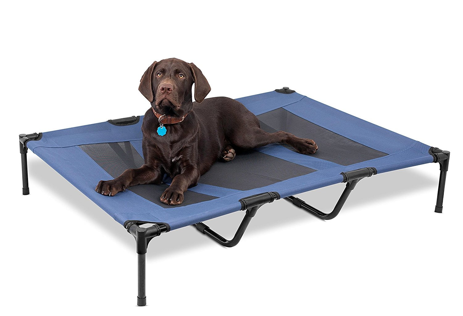 Best Large Dog Cot Blue 48 x 36"