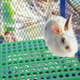 thumbnail image 3 of Rabbit Cage Leaky Board Pet Accessory Feet Mat Bunny Liner Pets Cleaner Drain Pad, 3 of 6