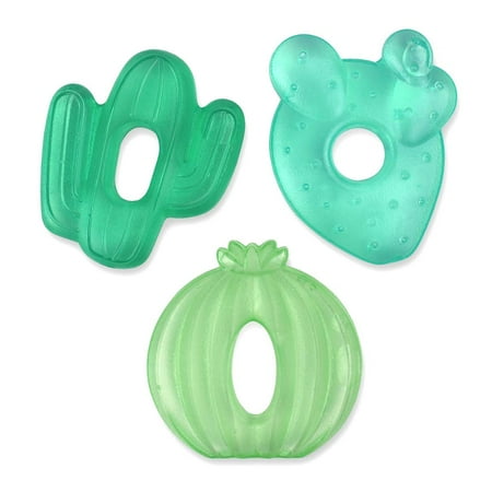 UPC: 0810434033198 | Itzy Ritzy Water-Filled Coordinating Cactus Water Teethers  Unisex  Set of 3 Green Cacti