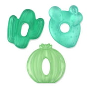 Itzy Ritzy Water-Filled Coordinating Cactus Water Teethers, Unisex, Set of 3 Green Cacti