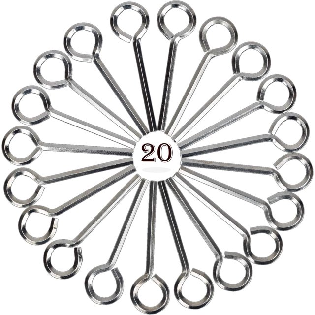 HUGFEGWE 20 Pack 5/32 inch Standard Hex Dogging Key with Full Loop, Allen Wrench Door Key for Push Bar Panic Exit Devices U2537-31540