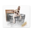 thumbnail image 4 of Cute French Bulldog Bath Canvas Wall  Art for Home Decor Ready-to-Hang, 4 of 18