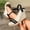 Black, variant on Women's Dual Strap Wedge Sandals, Open-Toe with Gold Accent, Plus Size Elegant Comfort Footwear for Casual Outings Beige 37