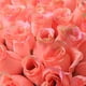thumbnail image 2 of Ramo de flores de rosas artificiales, flores de seda, boda, fiesta nupcial, decoración del hogar (naranja rosa), 2 of 2